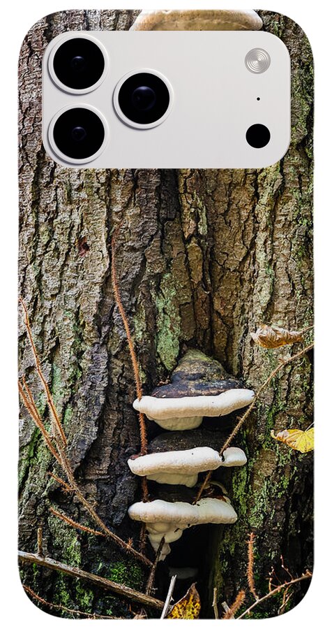 Mushrooms on the tree - Phone Case