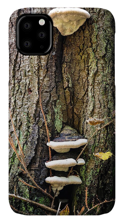 Mushrooms on the tree - Phone Case