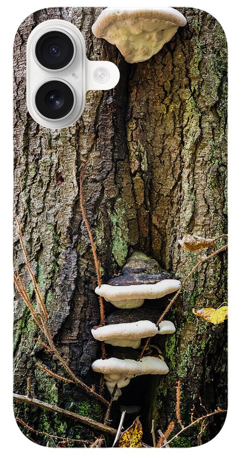 Mushrooms on the tree - Phone Case