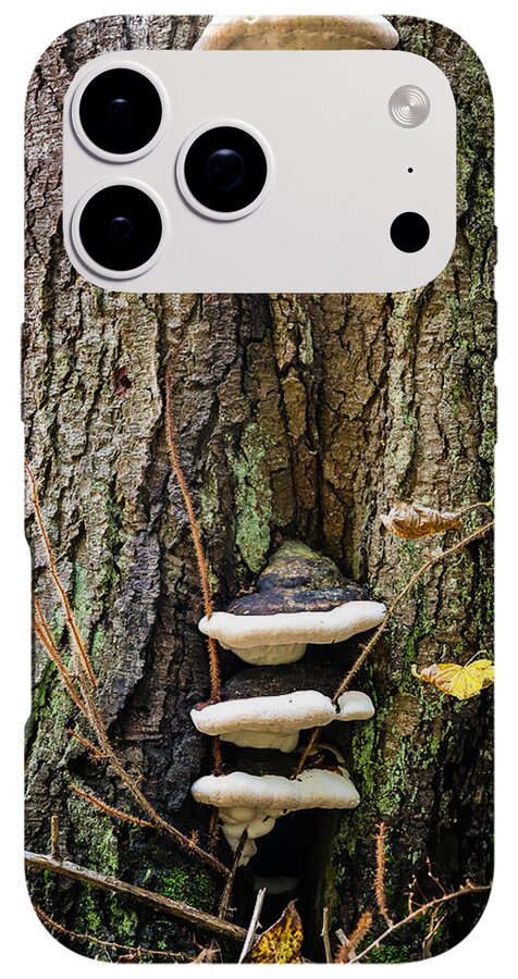 Mushrooms on the tree - Phone Case