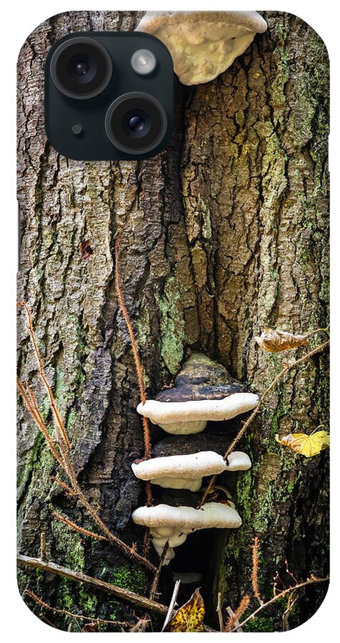 Mushrooms on the tree - Phone Case