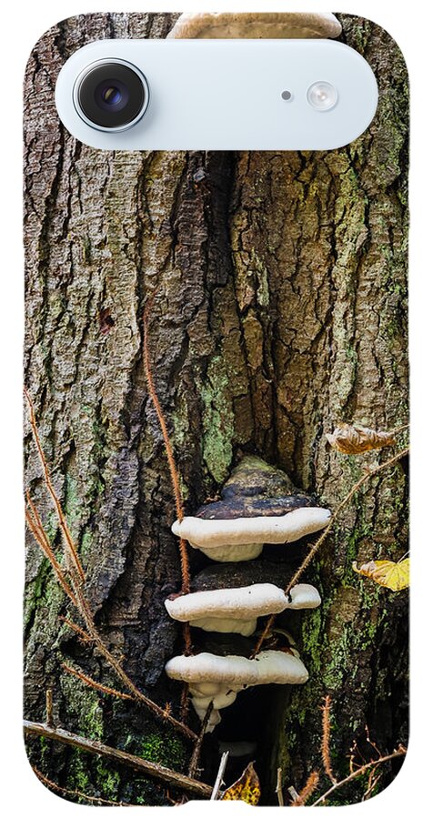 Mushrooms on the tree - Phone Case