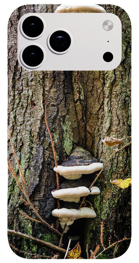 Mushrooms on the tree - Phone Case