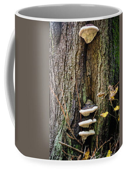 Mushrooms on the tree - Mug
