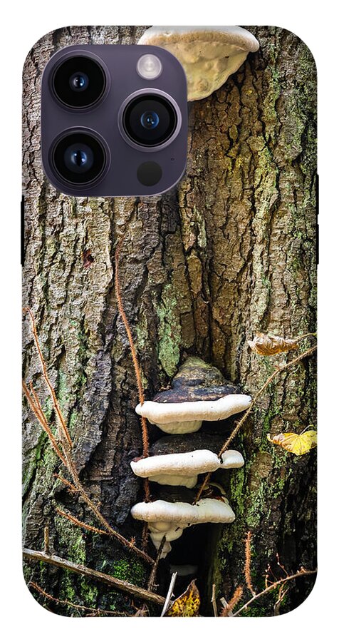 Mushrooms on the tree - Phone Case