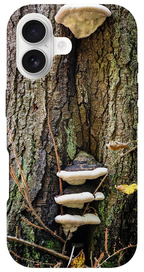 Mushrooms on the tree - Phone Case