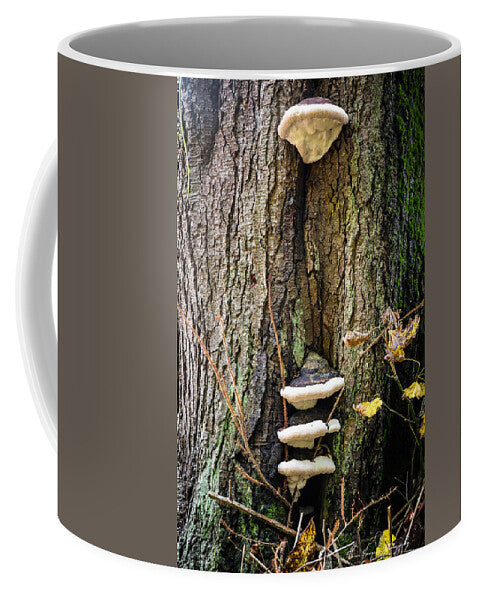 Mushrooms on the tree - Mug