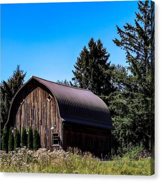 Old Barn 2 - Canvas Print
