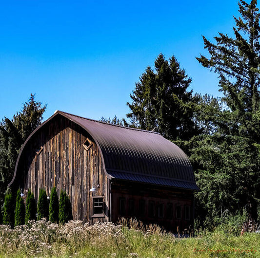 Old Barn 2 - Art Print