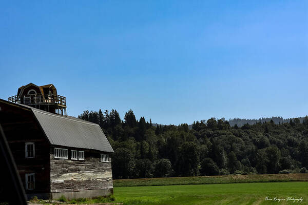 Old Barn - Art Print