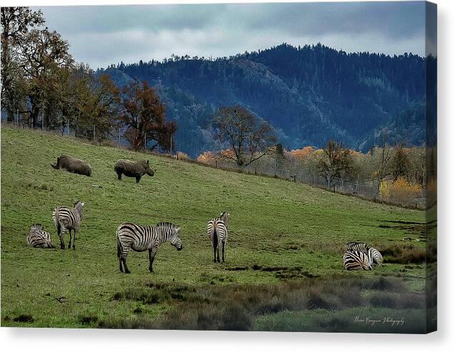 On the range - Canvas Print