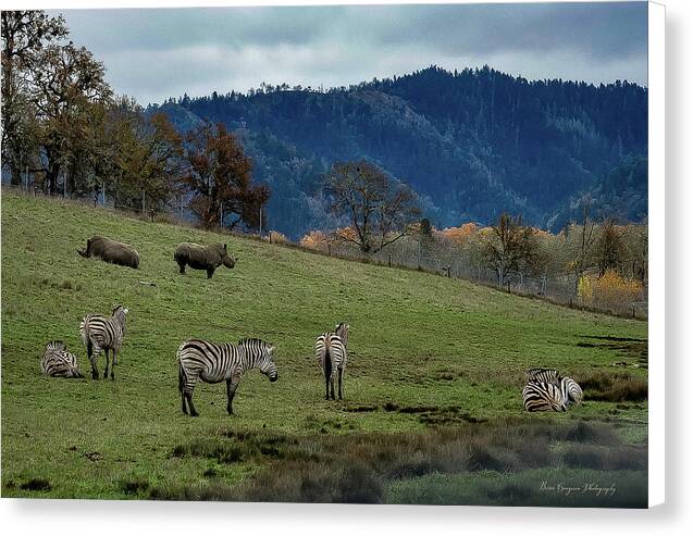 On the range - Canvas Print