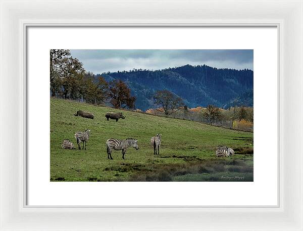 On the range - Framed Print