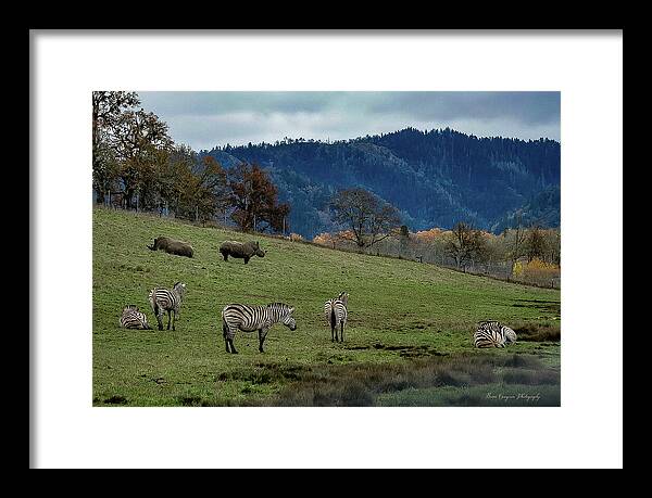 On the range - Framed Print