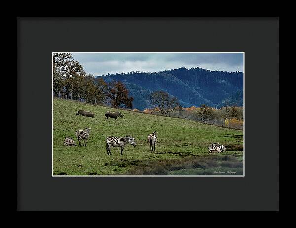 On the range - Framed Print
