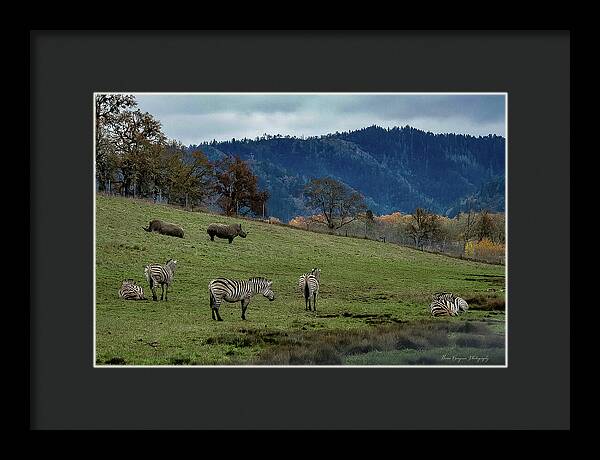 On the range - Framed Print