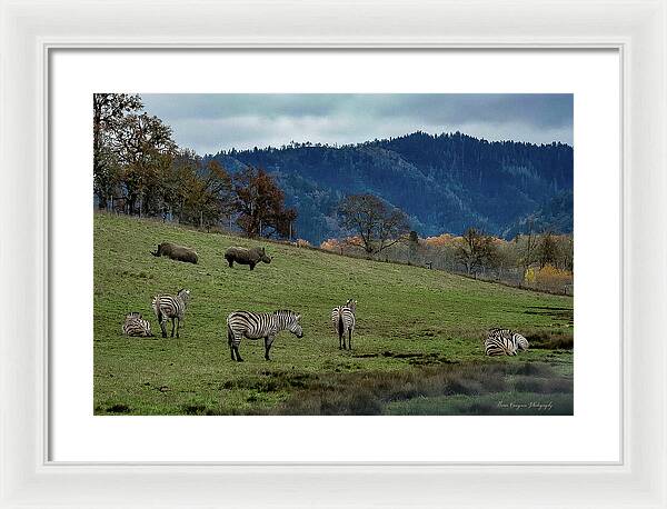 On the range - Framed Print