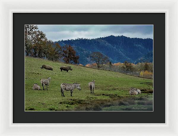 On the range - Framed Print