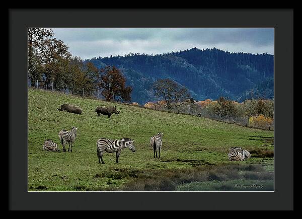 On the range - Framed Print