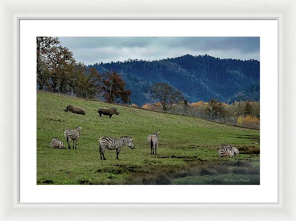 On the range - Framed Print