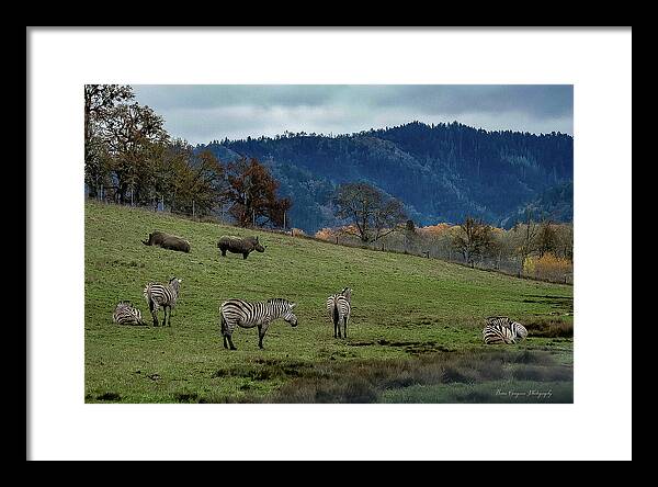 On the range - Framed Print