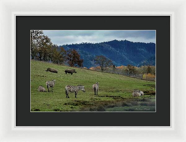 On the range - Framed Print