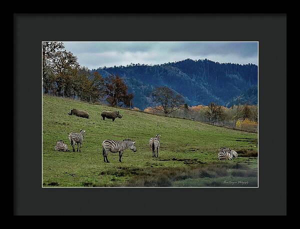 On the range - Framed Print