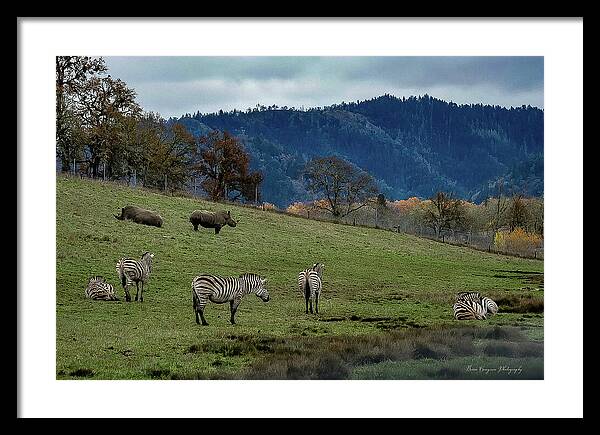 On the range - Framed Print