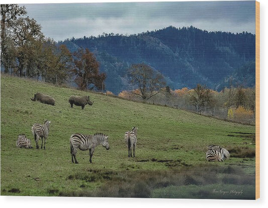 On the range - Wood Print