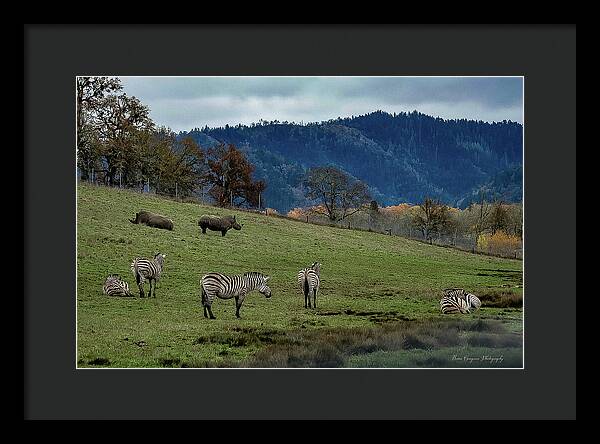 On the range - Framed Print
