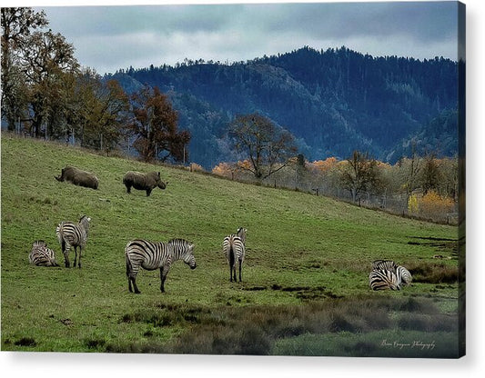 On the range - Acrylic Print