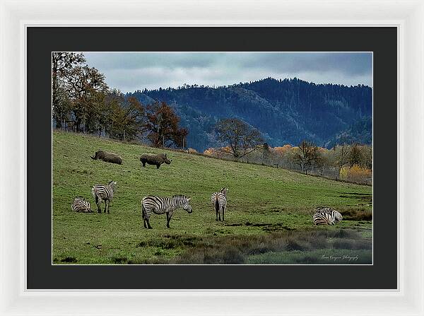 On the range - Framed Print