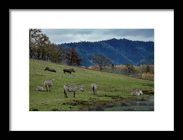 On the range - Framed Print