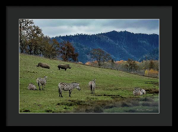 On the range - Framed Print