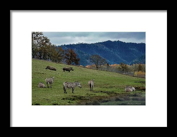 On the range - Framed Print