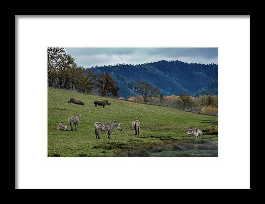 On the range - Framed Print
