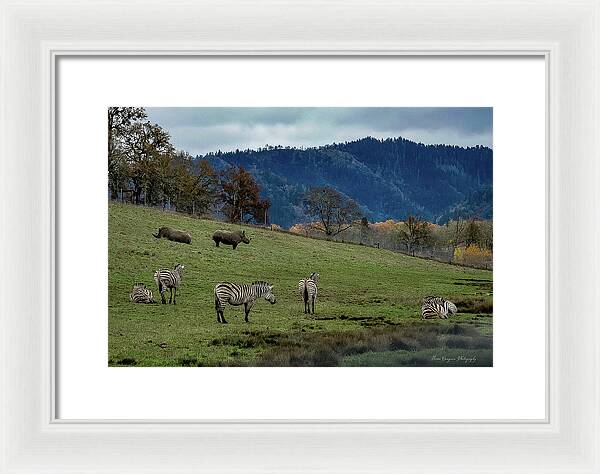 On the range - Framed Print