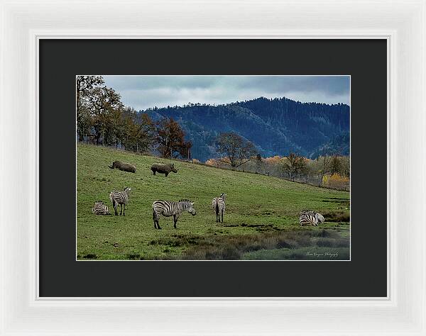 On the range - Framed Print