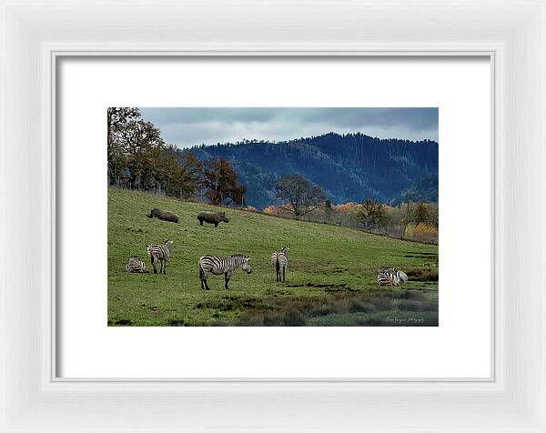 On the range - Framed Print