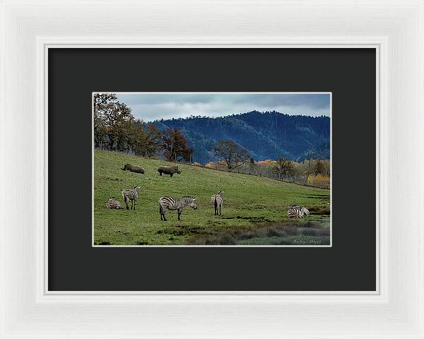 On the range - Framed Print