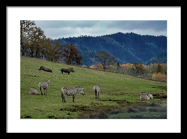 On the range - Framed Print