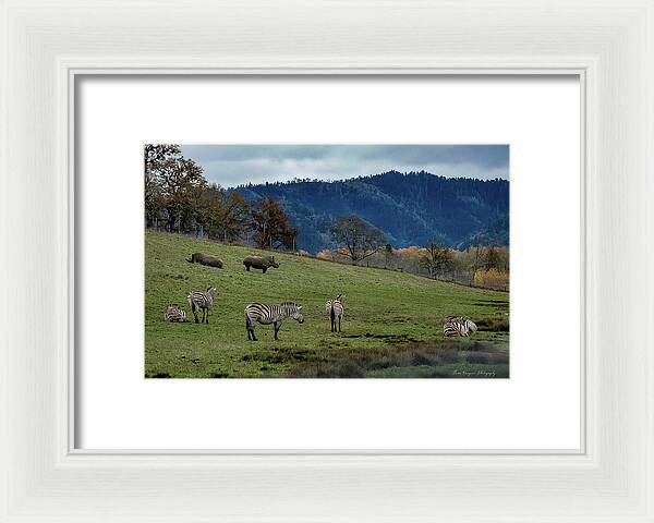 On the range - Framed Print