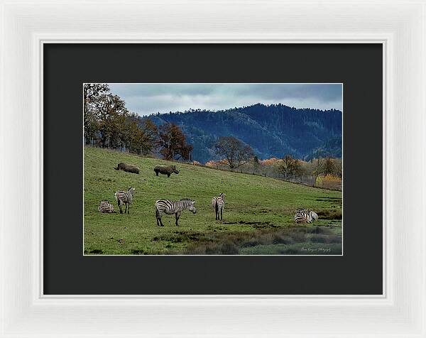 On the range - Framed Print