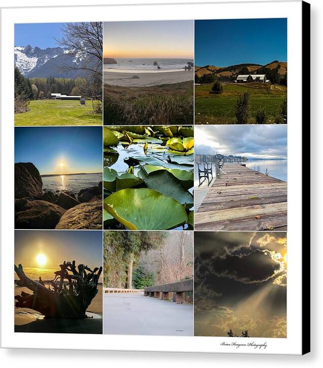 Pacific Northwest - Canvas Print