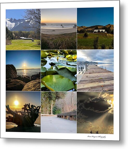 Pacific Northwest - Metal Print