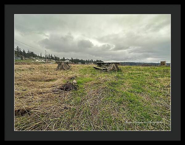 Park - Framed Print