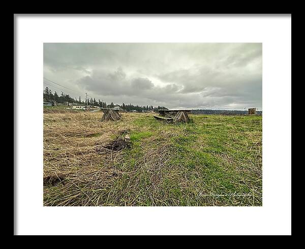 Park - Framed Print