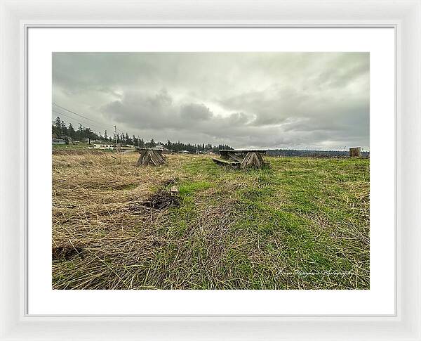 Park - Framed Print