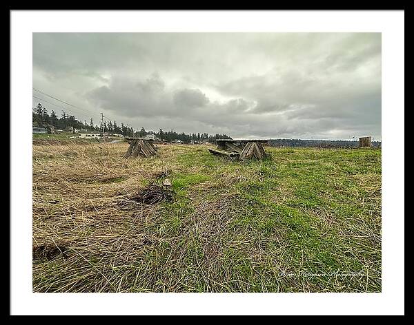 Park - Framed Print