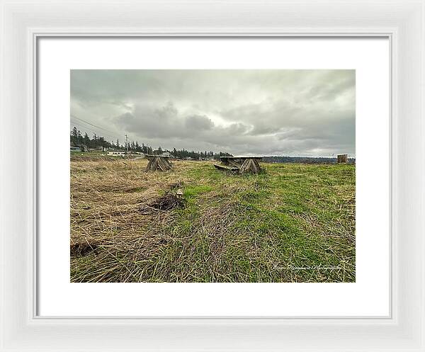 Park - Framed Print